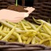 Goldrush Wax Bush Beans - 25 Lb Bulk - Non-GMO, Heirloom - Vegetable Garden Seeds - Gold Rush   565417795